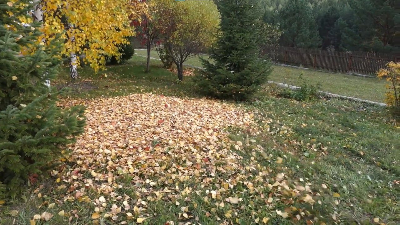 https://simferopol.mslandshaft.ru/storage/app/uploads/public/642/ac5/f22/642ac5f2293e2935715739.jpg
